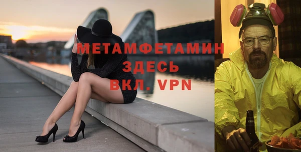 прущие грибы Вязьма