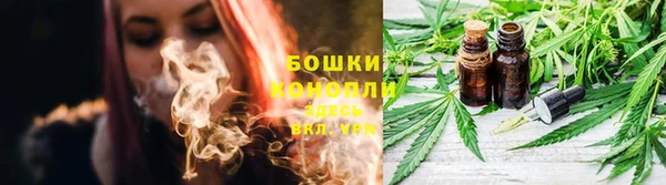 ПСИЛОЦИБИНОВЫЕ ГРИБЫ Вяземский