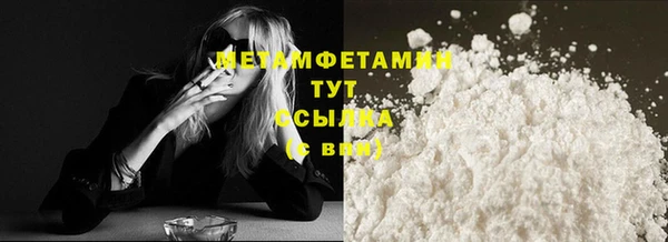 ПСИЛОЦИБИНОВЫЕ ГРИБЫ Вяземский