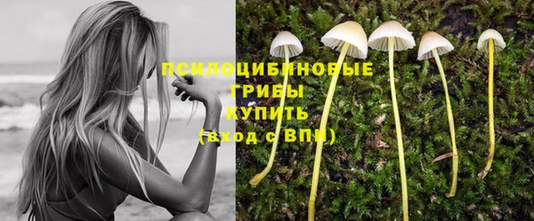 таблы Галич