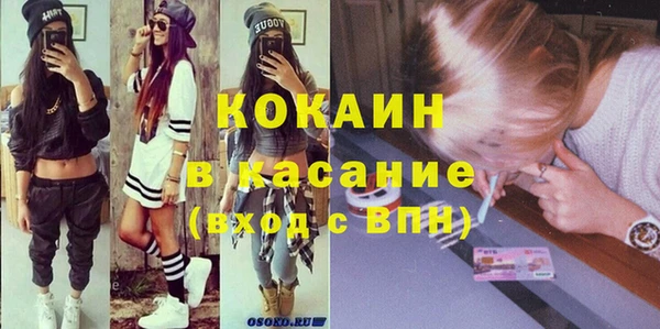 ПСИЛОЦИБИНОВЫЕ ГРИБЫ Вяземский