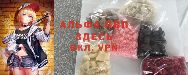 ПСИЛОЦИБИНОВЫЕ ГРИБЫ Вяземский