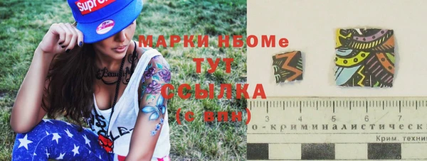 ПСИЛОЦИБИНОВЫЕ ГРИБЫ Вяземский