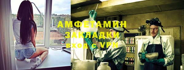ПСИЛОЦИБИНОВЫЕ ГРИБЫ Вяземский