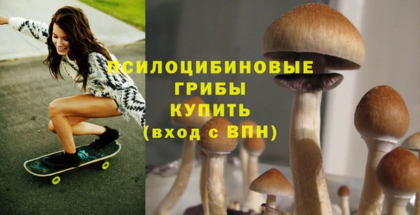 apvp Вязники