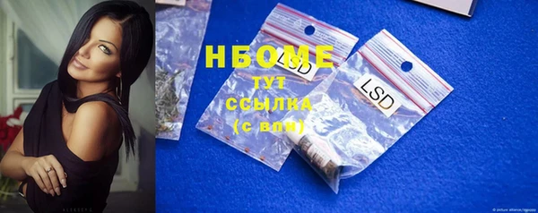 ПСИЛОЦИБИНОВЫЕ ГРИБЫ Вяземский