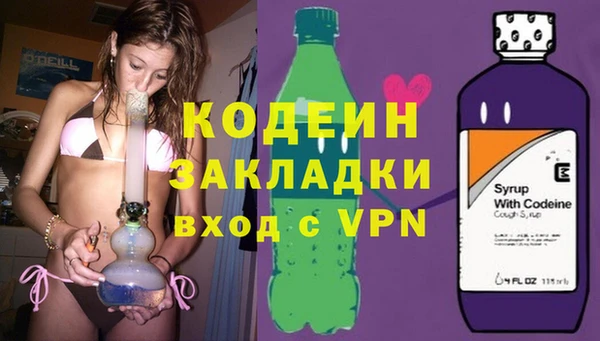 ПСИЛОЦИБИНОВЫЕ ГРИБЫ Вяземский