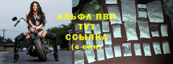 ПСИЛОЦИБИНОВЫЕ ГРИБЫ Вяземский